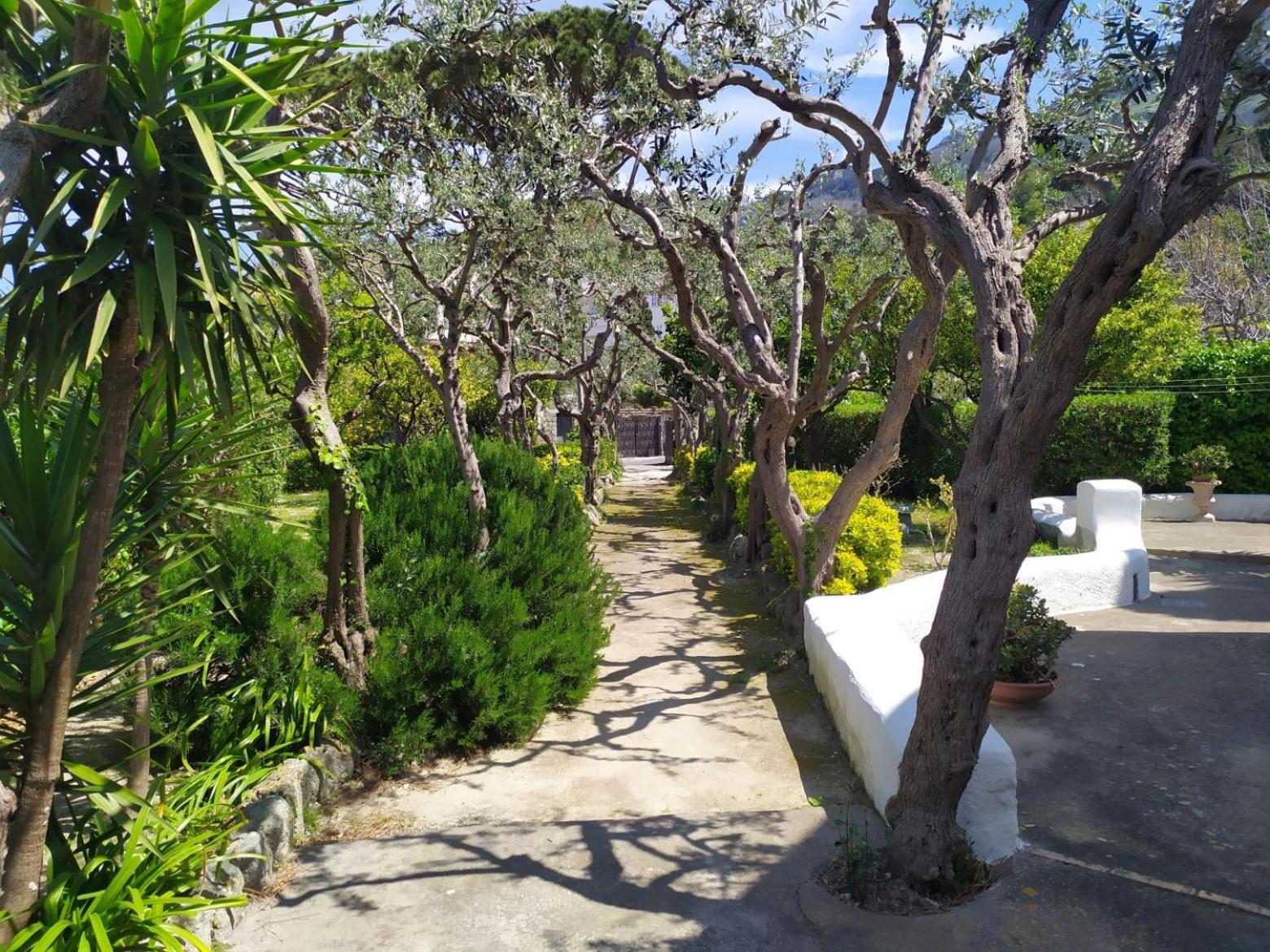 Villa Ravino Secret Retreat Forio di Ischia Buitenkant foto