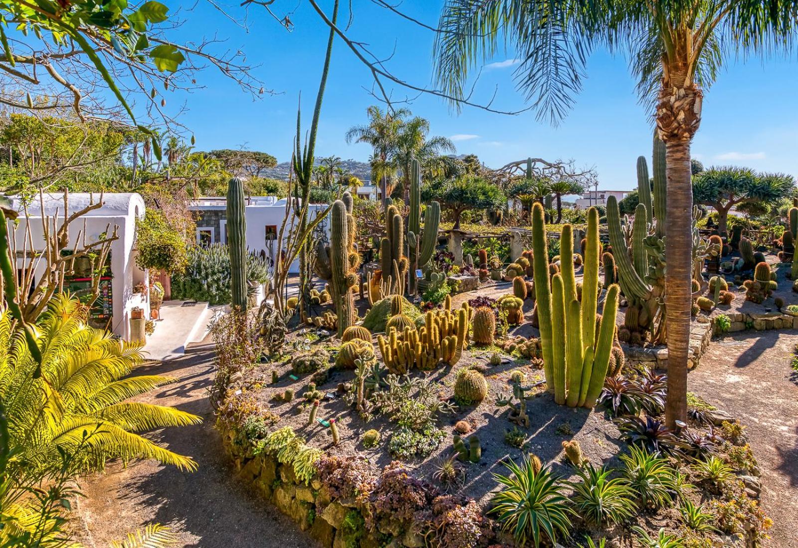 Villa Ravino Secret Retreat Forio di Ischia Buitenkant foto